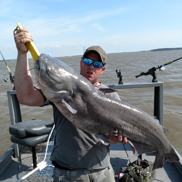 Biggest catches in Milford Lake